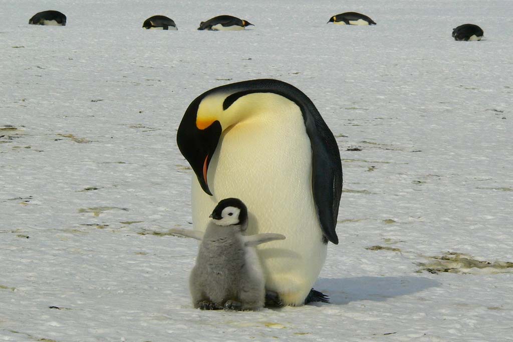 Postpartalna depresija