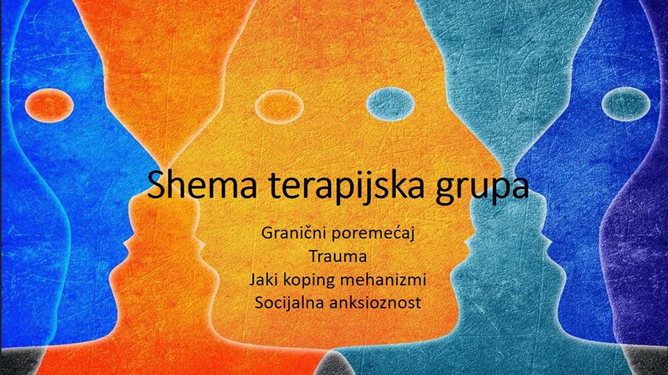 Grupna shema terapija